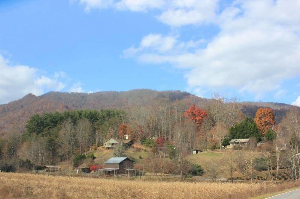 The Yellow House On Plott Creek Waynesville Zewnętrze zdjęcie